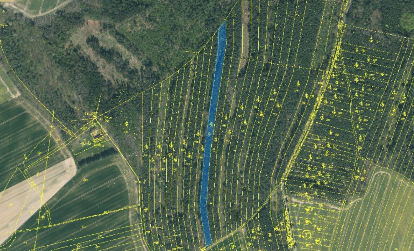 155-1 pozemek mapa.jpg