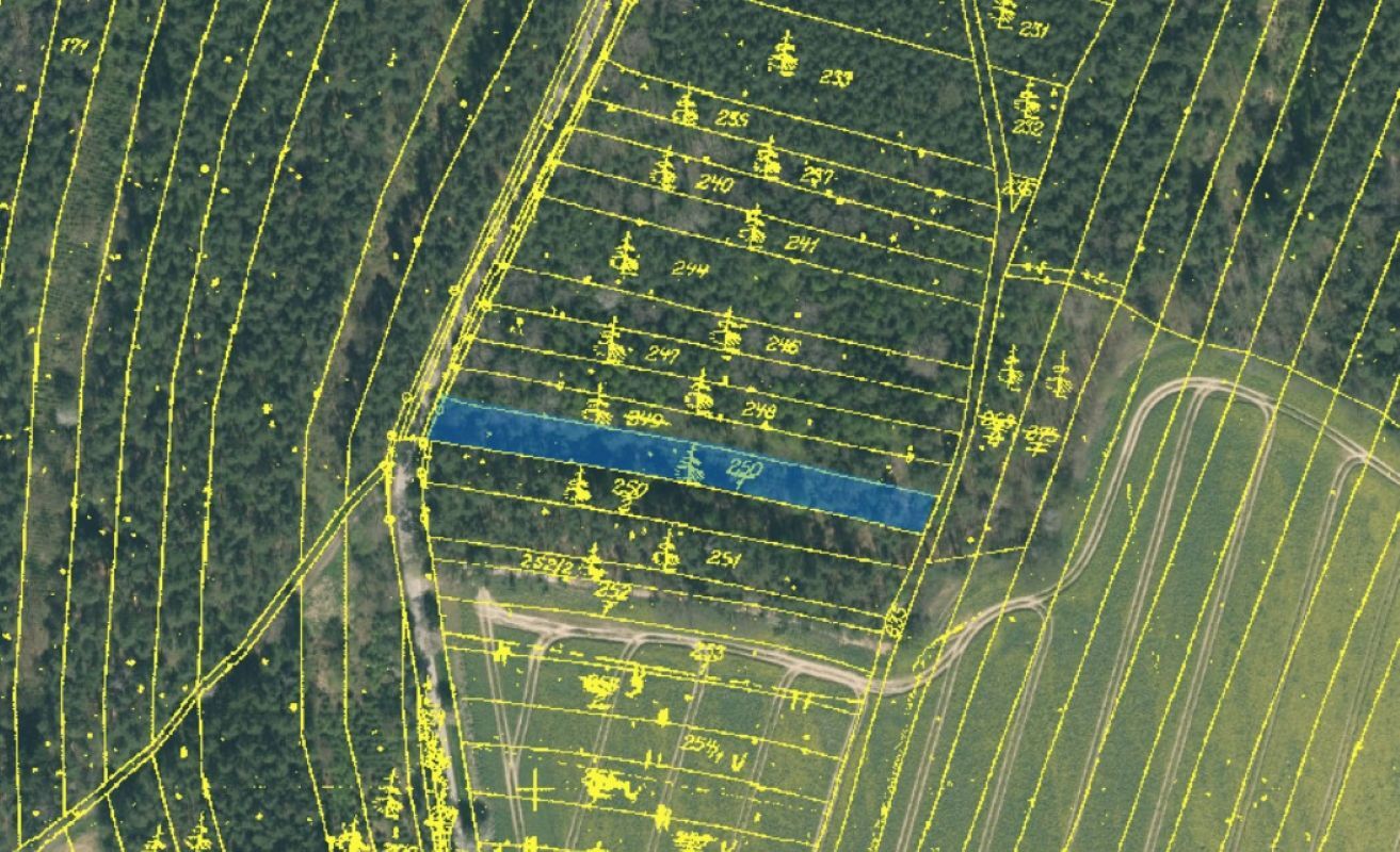 250-1 pozemek mapa.jpg