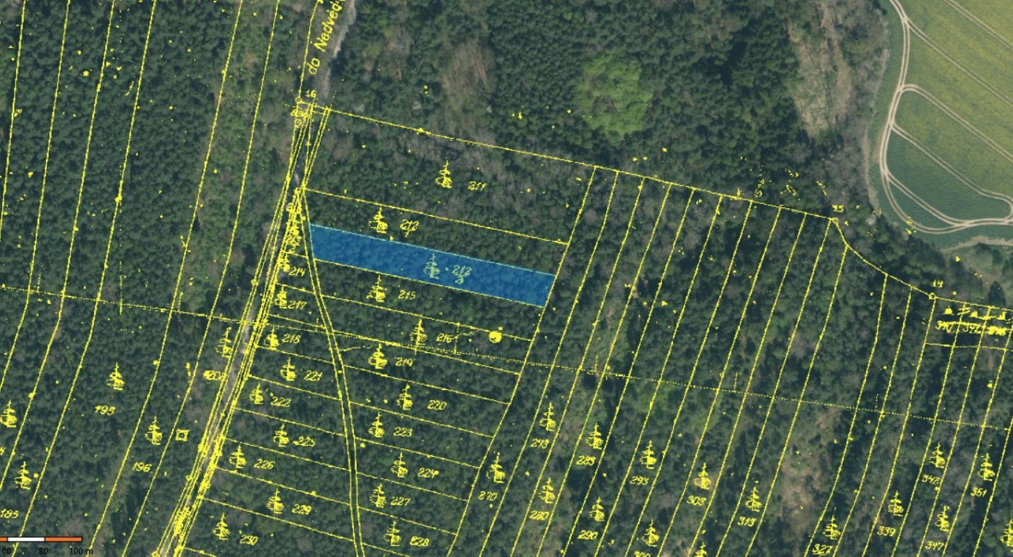 212-2 pozemek mapa.jpg
