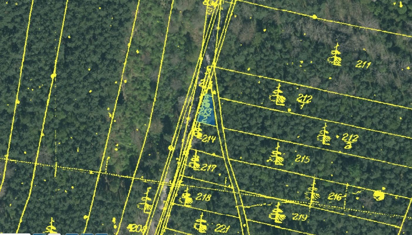 213-2 pozemek mapa.jpg