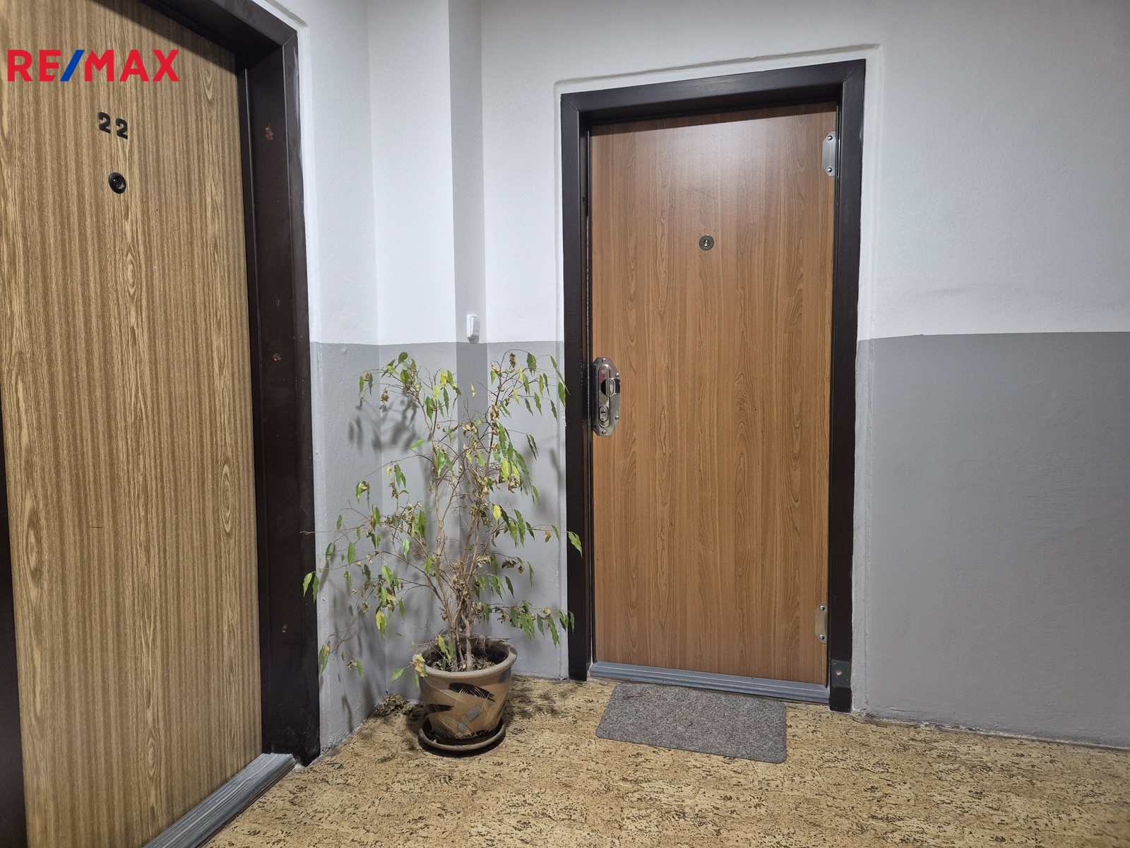 bezpečnostní dveře