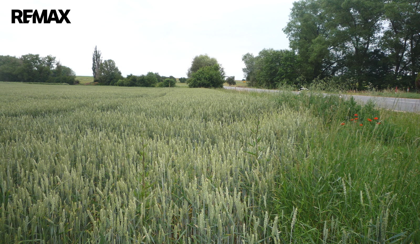 Pohled od vjezdu na východ,