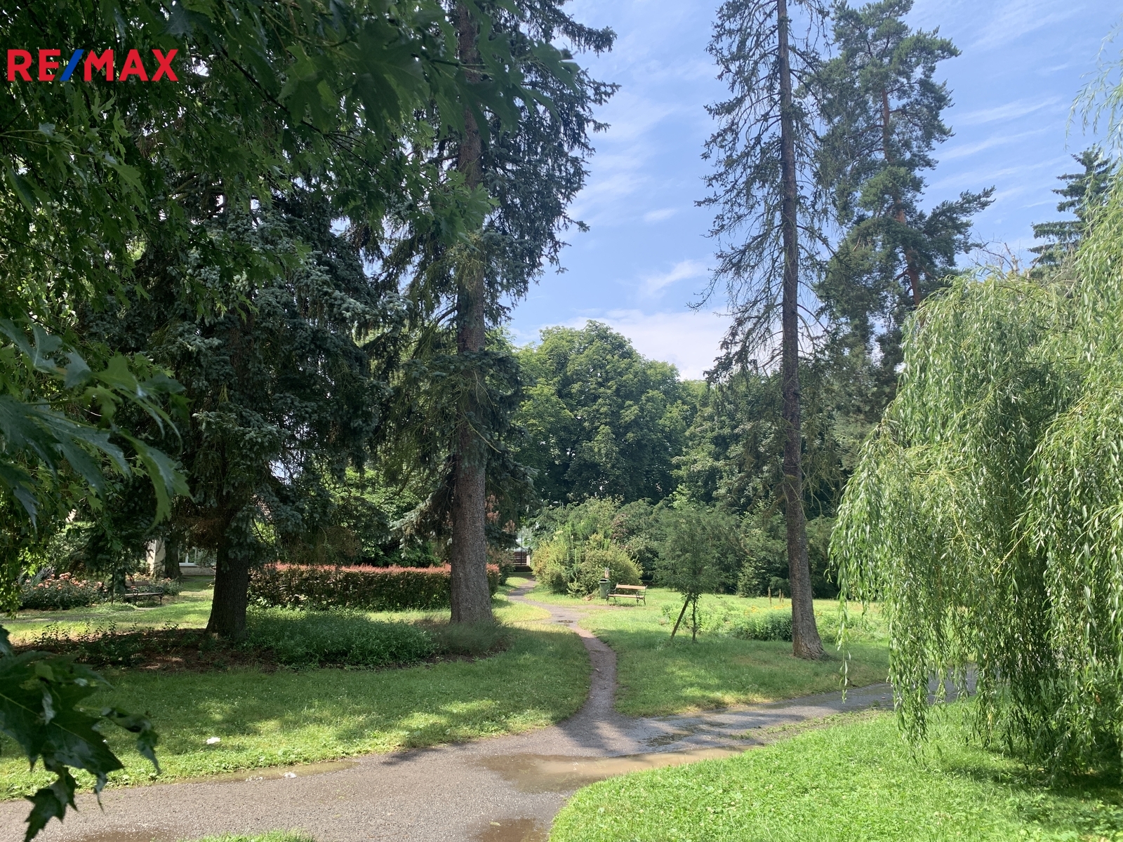 park je hned u domu