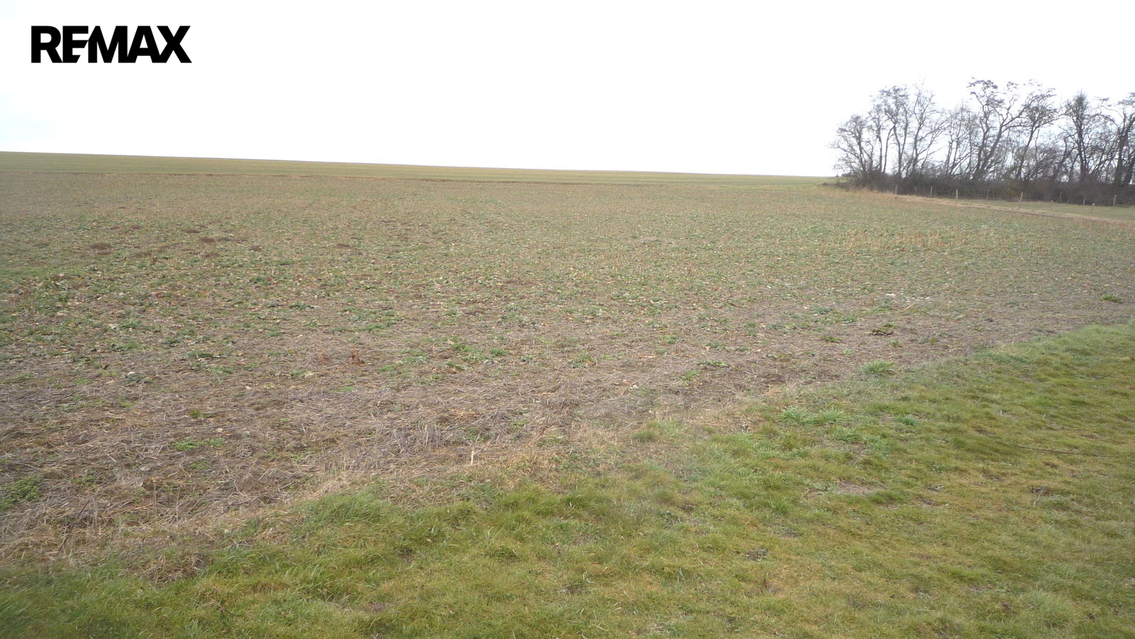 Další fotky pozemku, všímejte si