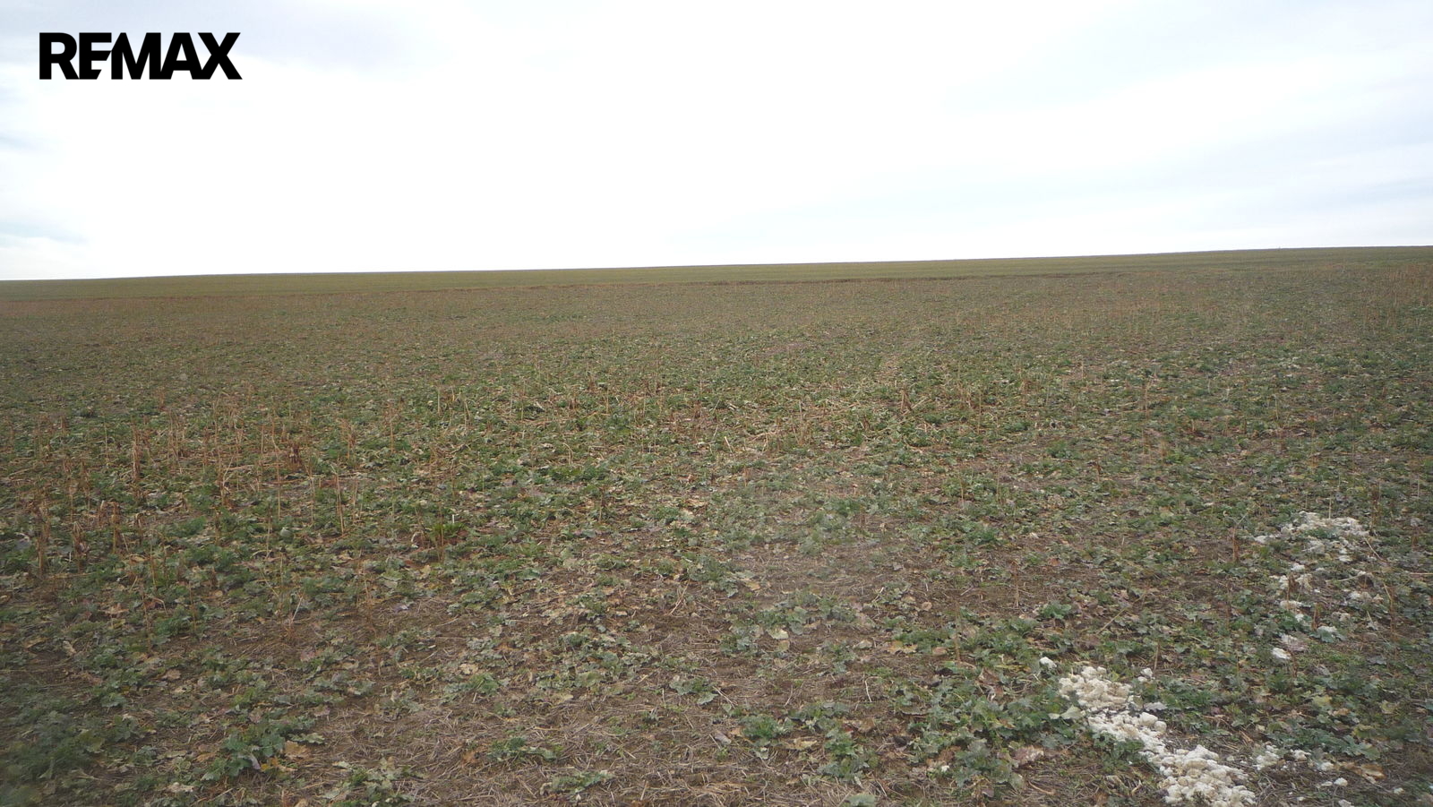 Pohled na pozemek při jeho levém okraji