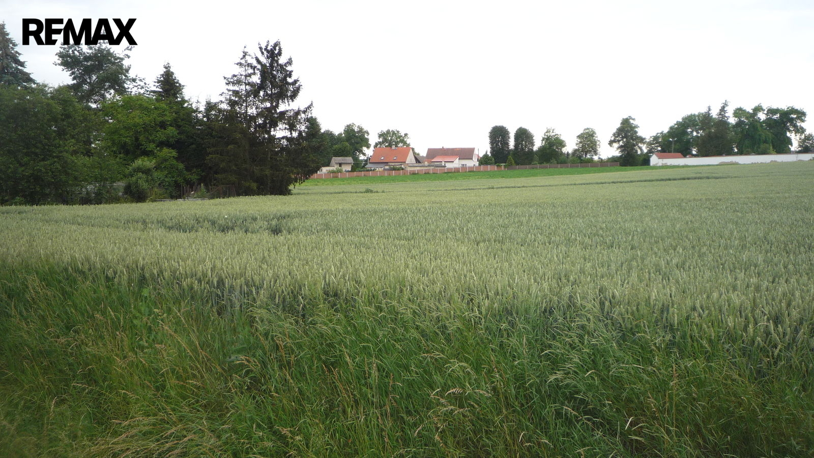 kterou na tomhle světě máme.