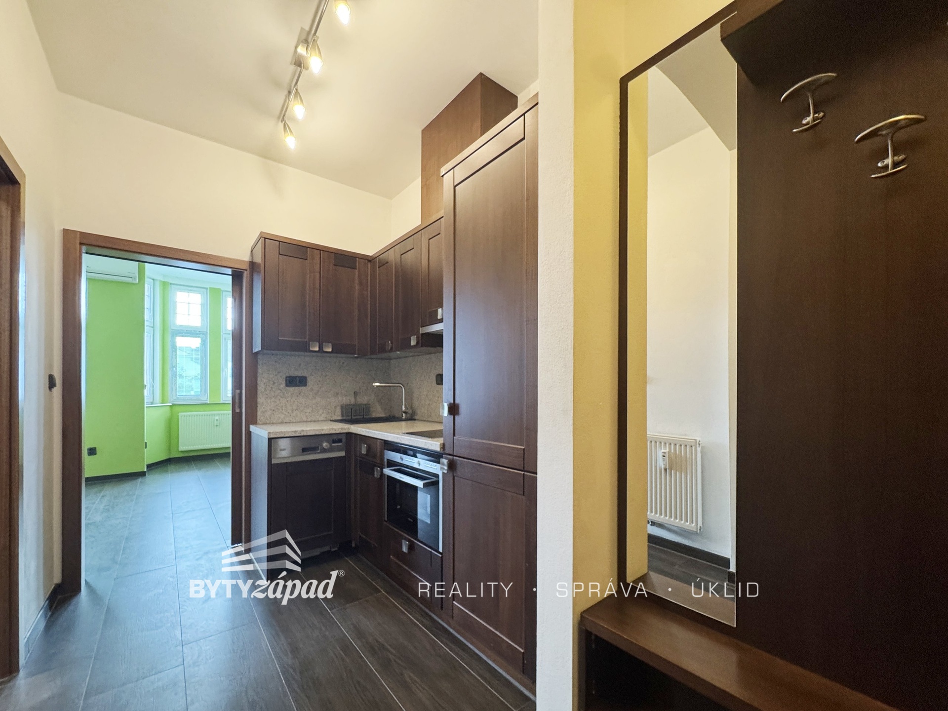 Pronájem bytu 1+kk a garsoniéry Plzeň 12 500 Kč za měsíc, foto 4