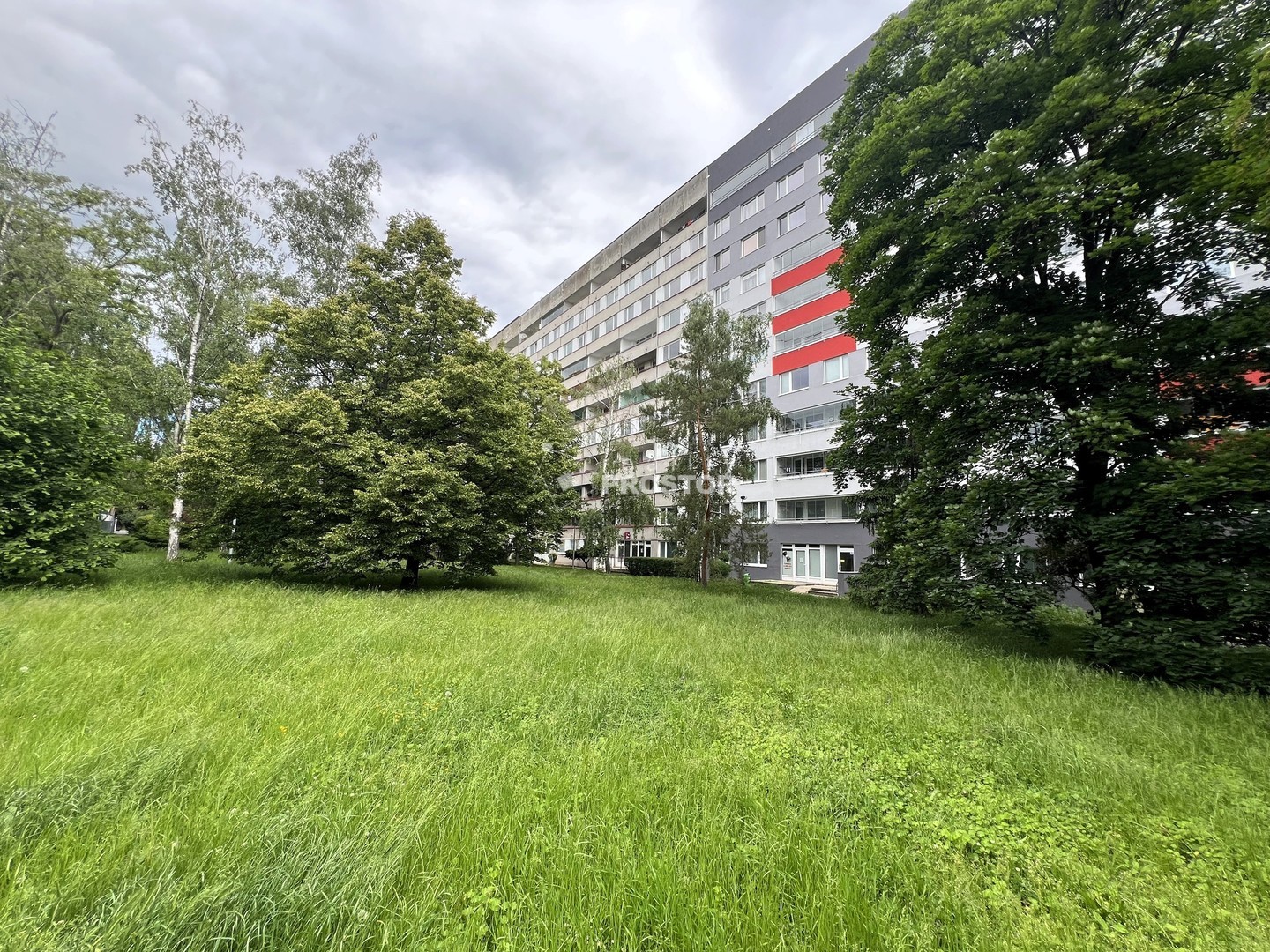Fotka 19