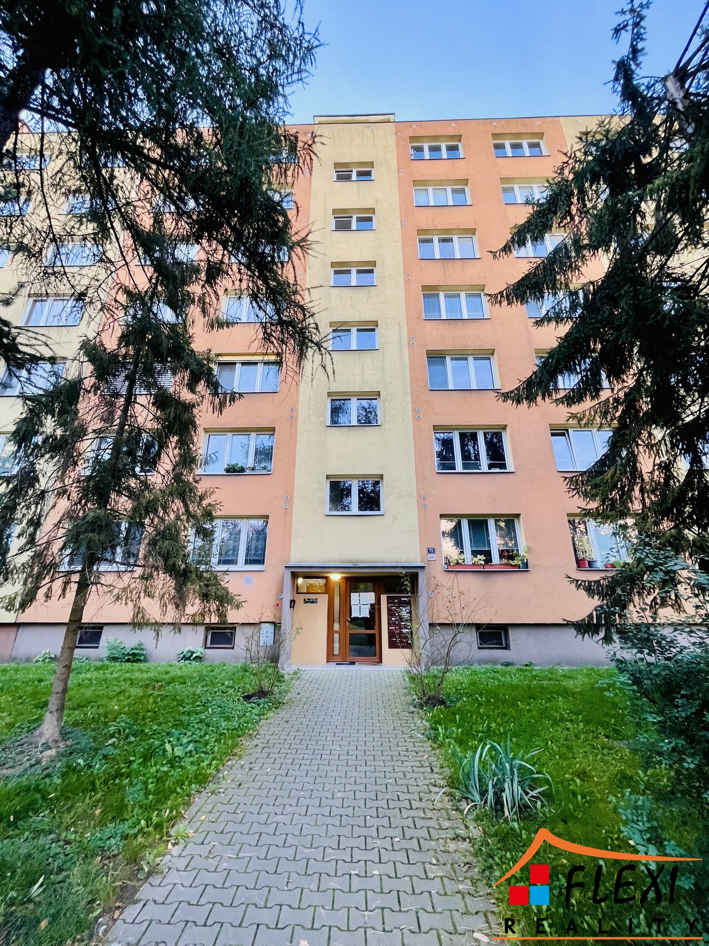 IMG_7541