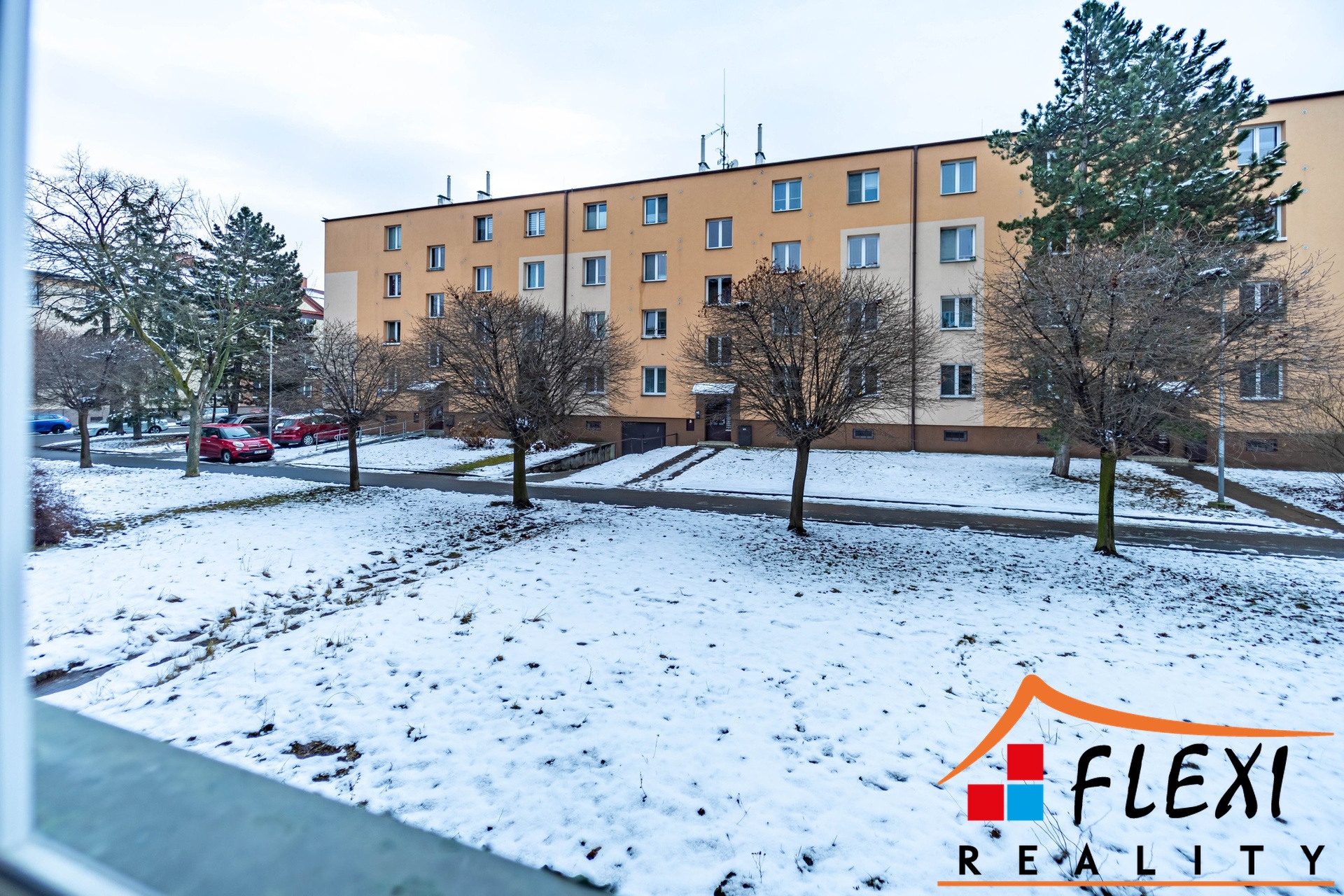 gensvobody (1 of 22)