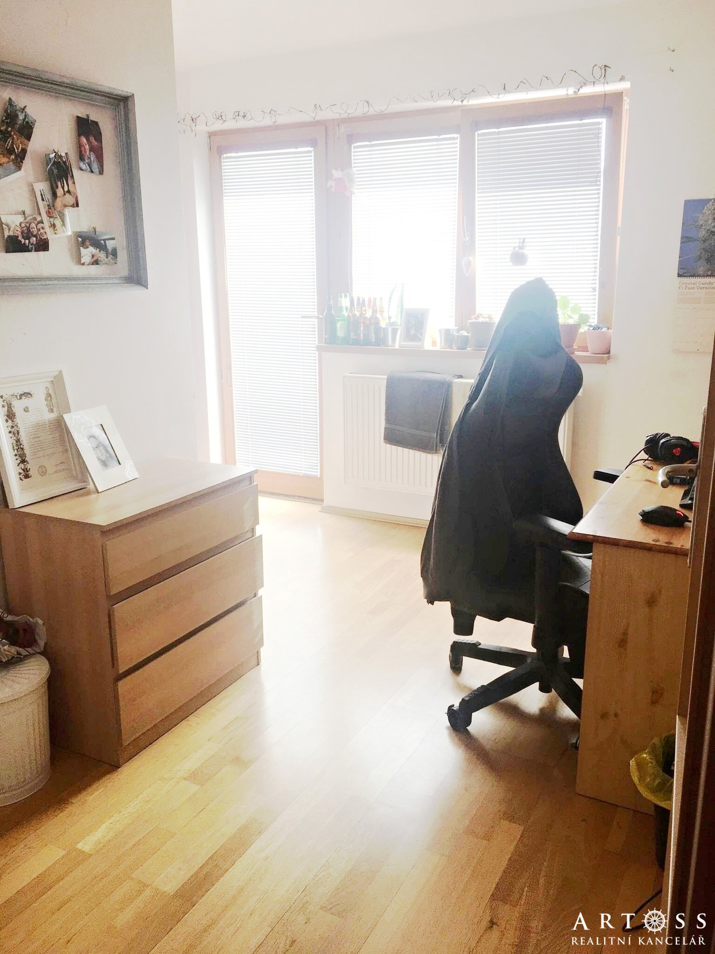 100088698_3848192785222325_4041670169494290432_n