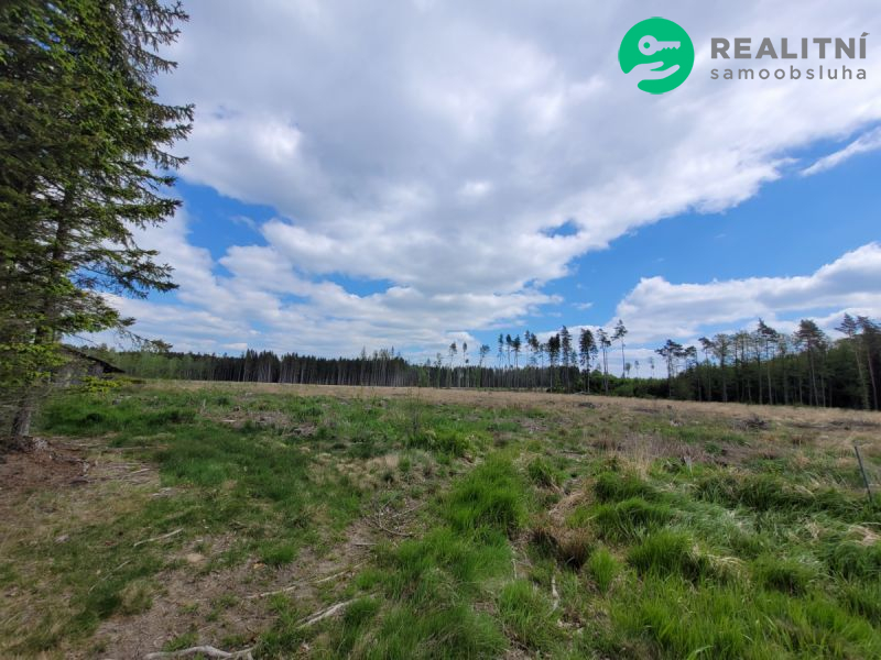 Les po těžbě kůrovce.72939 m2, Heřmaneč u Počátek