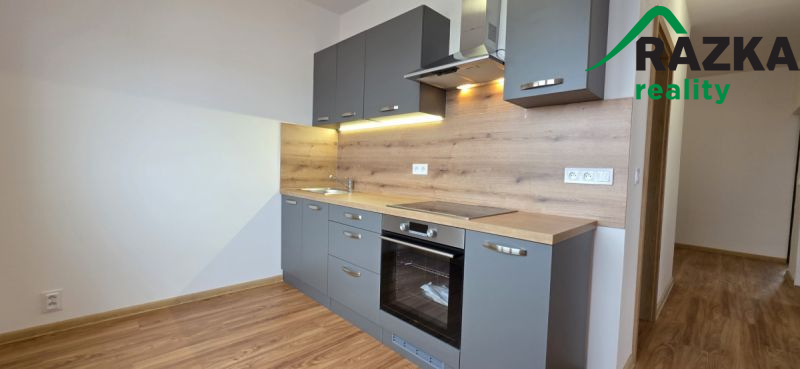 Byt 3+1 s lodžií (60 m2) Planá, ul. Fučíkova