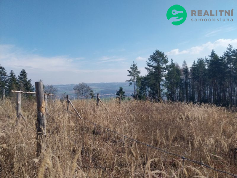 lesní pozemek k. ú. Spešov