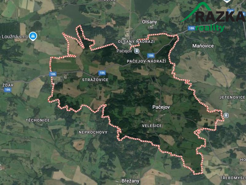 Trvalý travní porost v Pačejově, okres Klatovy