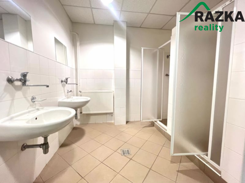 Komerční prostory (sklad, výroba) v Tachově, ul. Školní