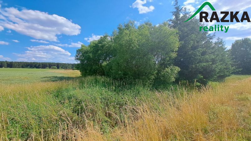 Pozemek 393 m2 v kú. Kumpolec, okr. Tachov 