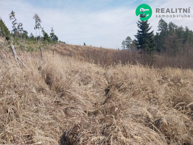 lesní pozemek k. ú. Spešov