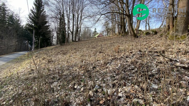 Stavební pozemek 1024m2 Albrechtice 