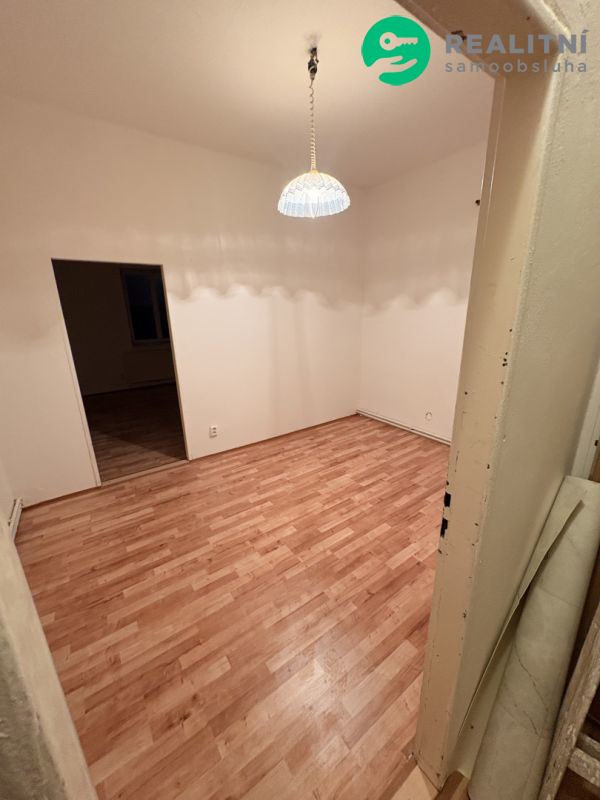 Pronajmu slunný byt 3+1 Děčín Letná 