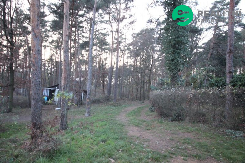 Brněnská přehrada Rozdrojovice