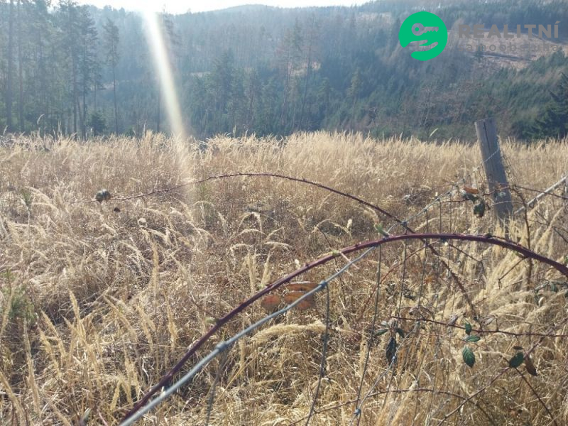 lesní pozemek k. ú. Spešov