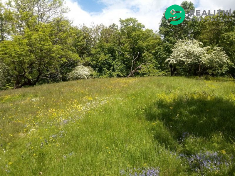 Prodej zahrady 679 m&sup2; - Krňany