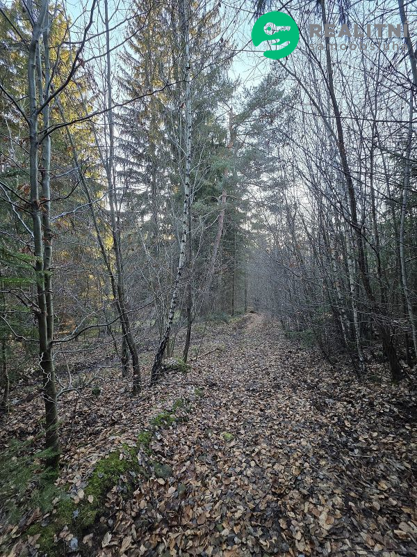 Podíl na lesních pozemcích Vsetín - Semetín