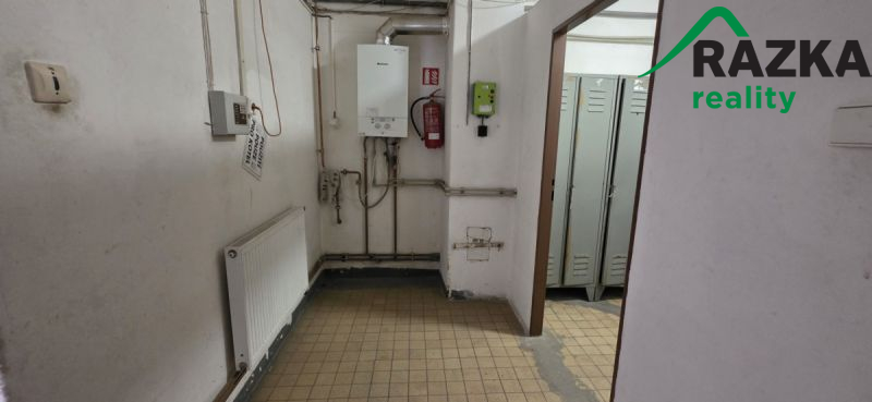 Nebytové prostory (249 m2) v Plané, ul. Plzeňská