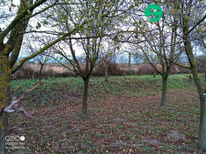 zahrada 608m2 v obci Čejč okr. Hodonín