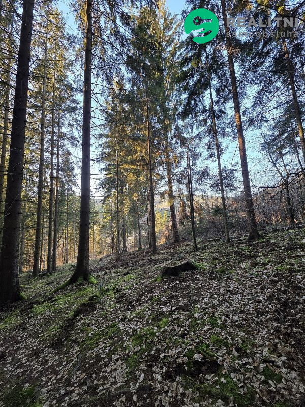 Podíl na lesních pozemcích Vsetín - Semetín