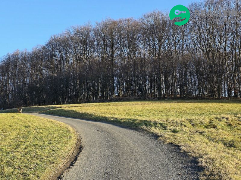 Podíl na lesních pozemcích Vsetín - Semetín