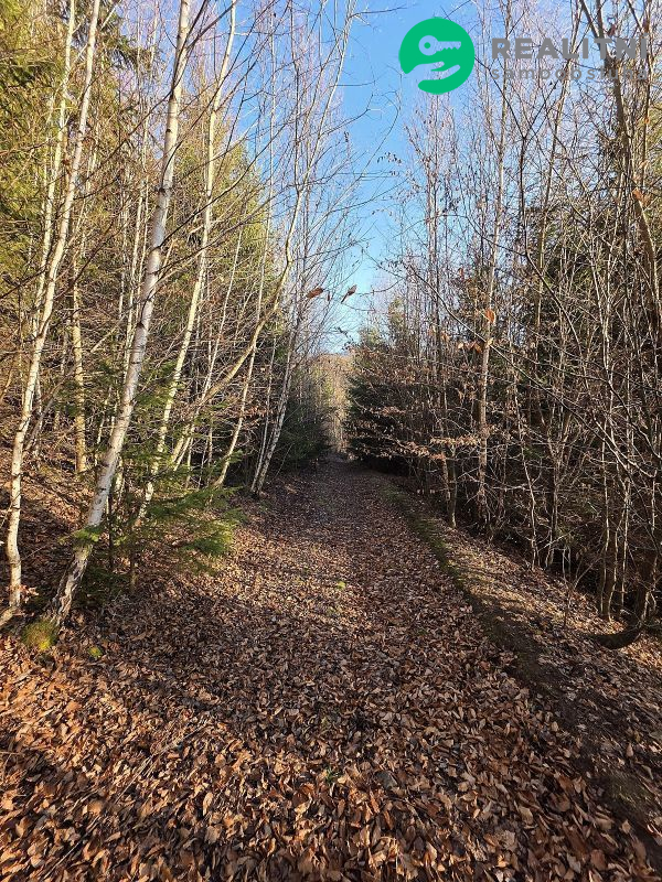 Podíl na lesních pozemcích Vsetín - Semetín