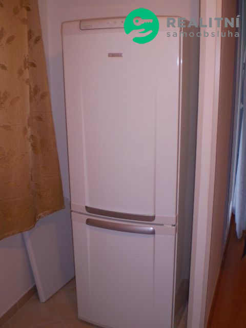 Pronajmu byt 1+1  Praha