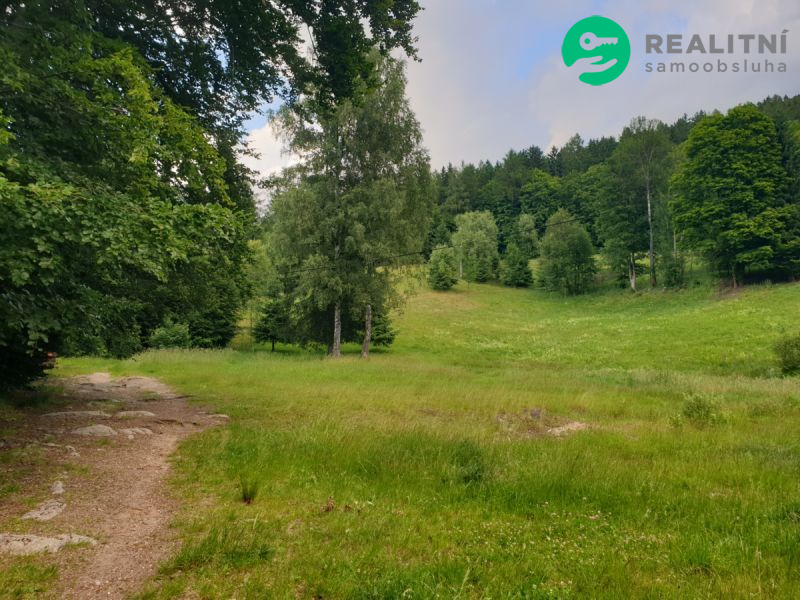 Dům či dva apartmány Desná