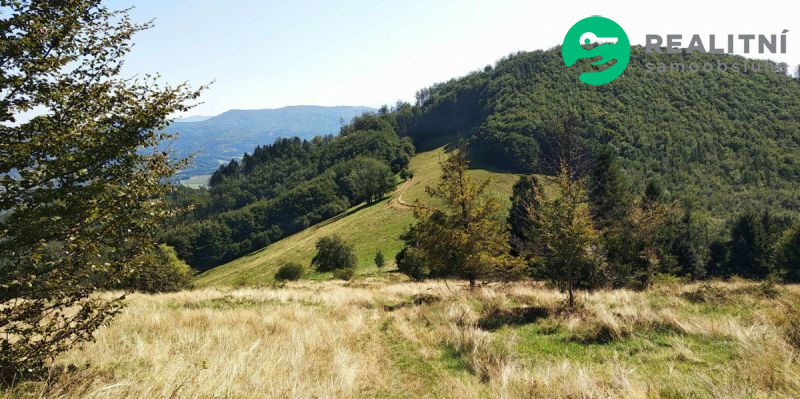Louky v Košařiskách, 4 998 m2