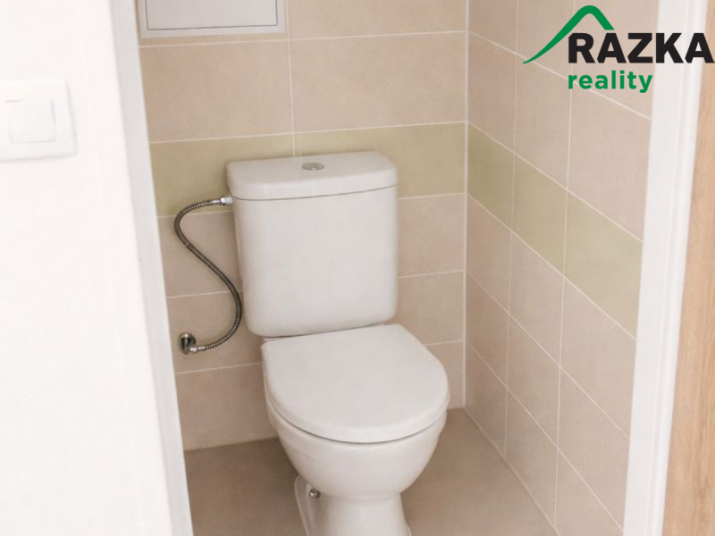 Pronájem bytu 2+1 v Konstantinových Lázních