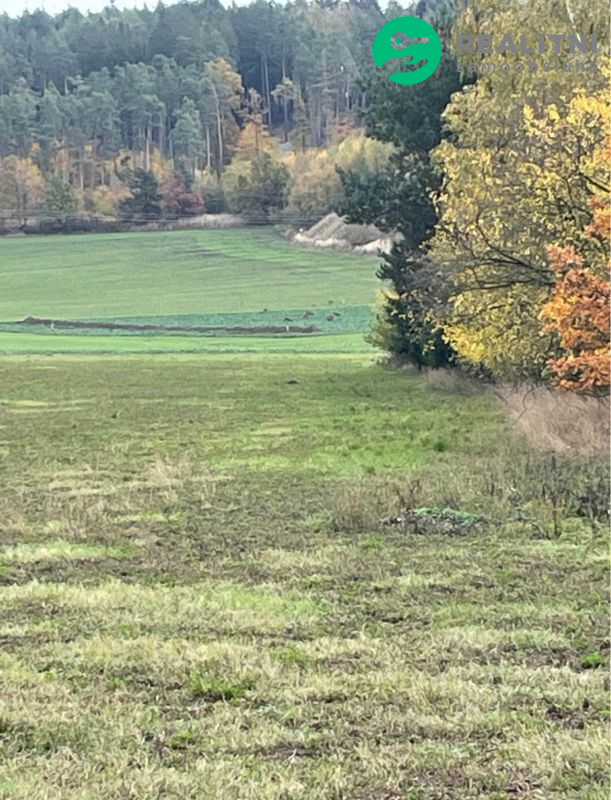 Stavební parcela Dolany