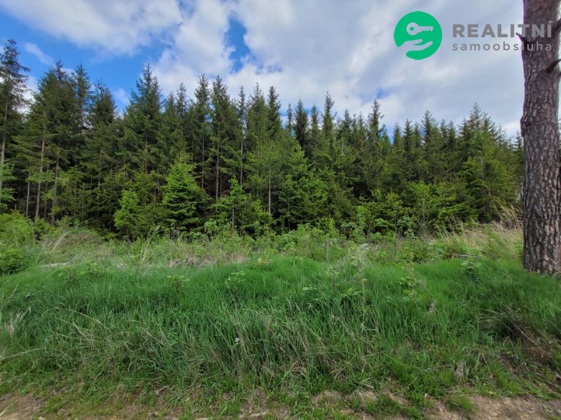 Les po těžbě kůrovce.72939 m2, Heřmaneč u Počátek