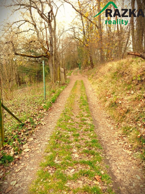 Zahrada v klidné části zahrádkářské kolonie v Doma