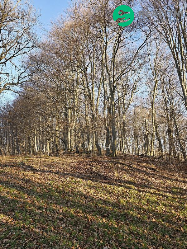 Podíl na lesních pozemcích Vsetín - Semetín