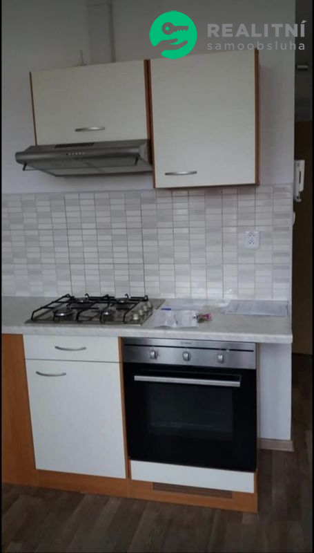 Pronájem 1+1 Aš