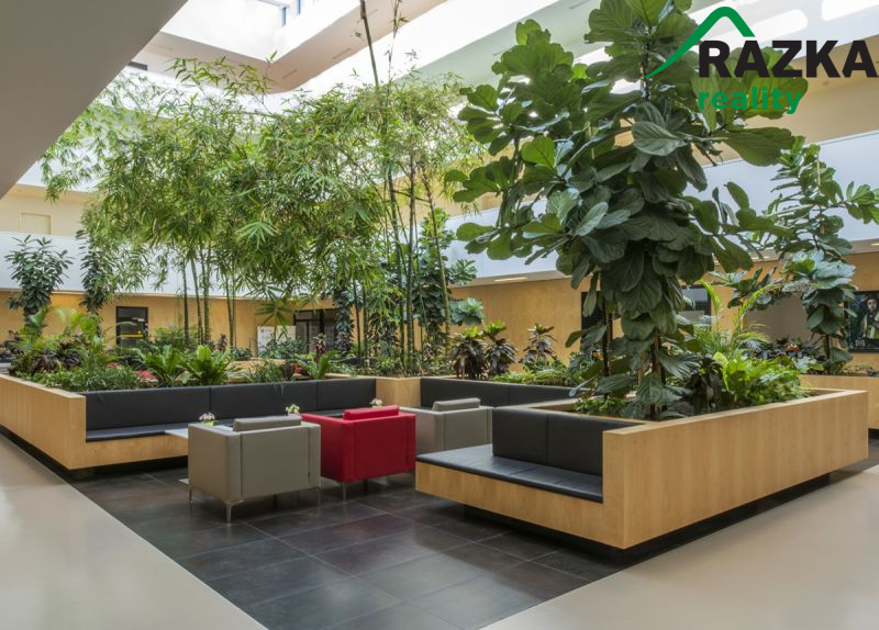 Byt 2+kk - nadstandardní bydlení a služby pro seniory 