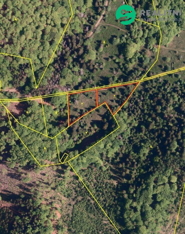 Louky v Košařiskách, 4 998 m2