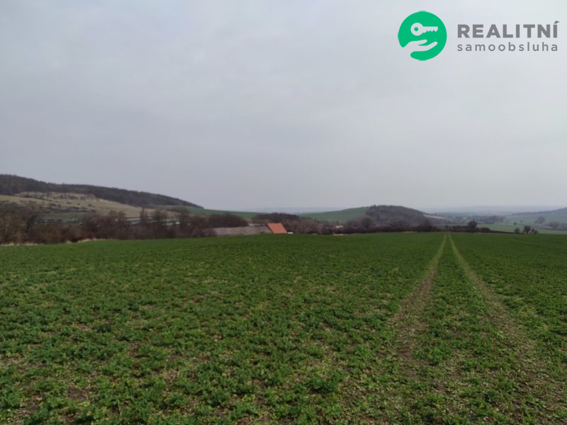 PRODEJ ZEMĚDĚLSKÝCH POZEMKŮ 13,09 ha - MAŠŤOV, CHOMUTOVSKO