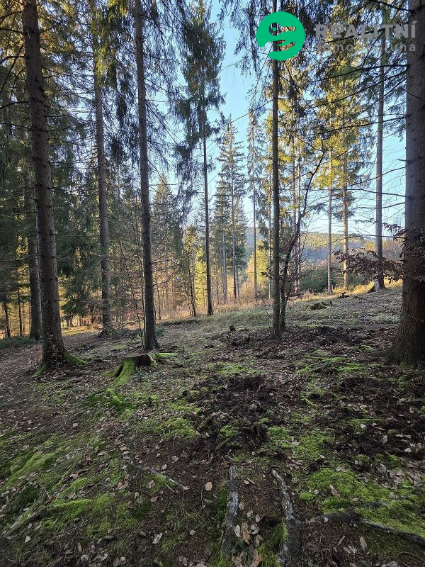 Podíl na lesních pozemcích Vsetín - Semetín