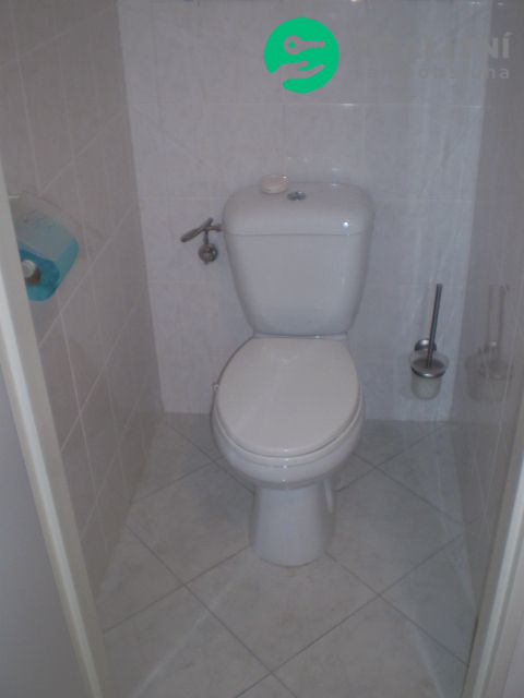 Pronajmu byt 1+1  Praha