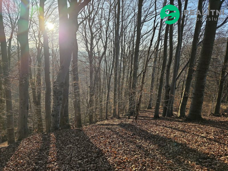 Podíl na lesních pozemcích Vsetín - Semetín