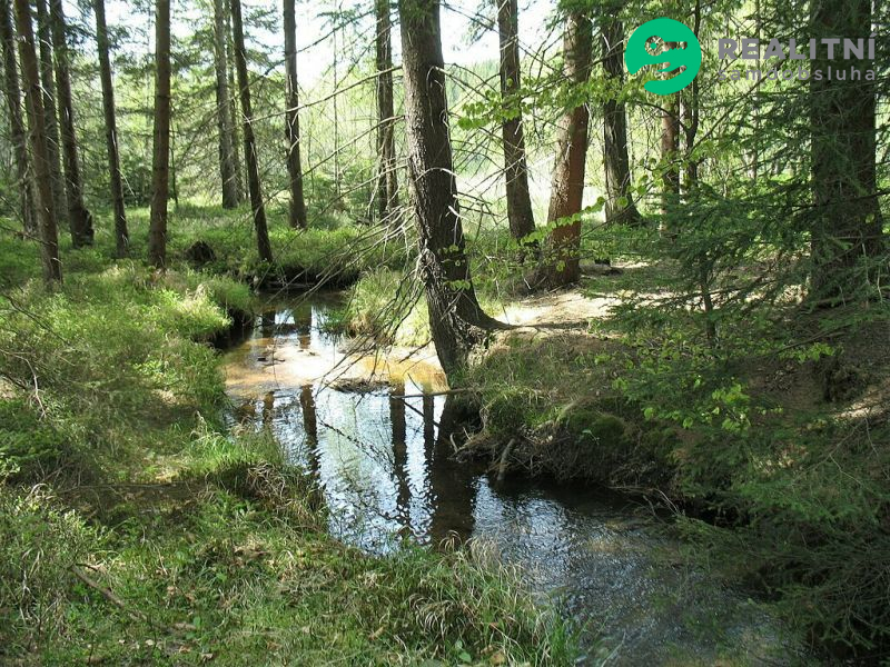 Lesní pozemek u rybníka Horní Pěna