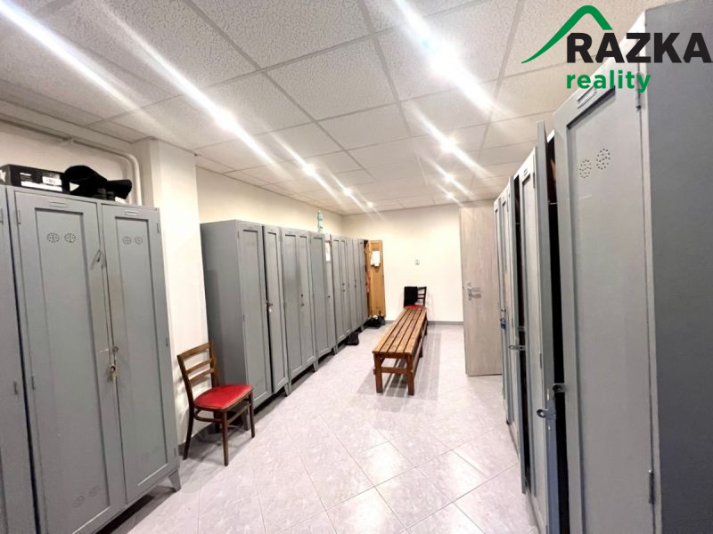 Komerční prostory (sklad, výroba) v Tachově, ul. Školní